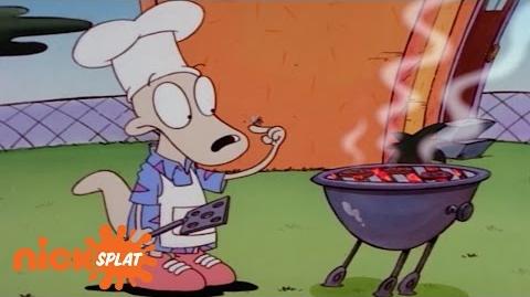 A_Pesky_Fly_Interrupts_Rocko’s_Barbecue_Rocko's_Modern_Life_NickSplat