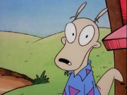 Rocko Rama/Gallery/Snapshots | Rocko's Modern Life Wiki | Fandom