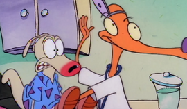 Dr. Bendova Treats Rocko