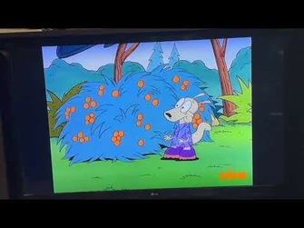 Rocko's_Modern_Life_-_"Hut_Sut_Raw"_Rocko_Picking_Berries_(Nickelodeon_Canada_airing)