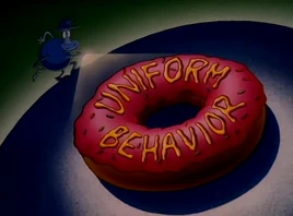 Uniform Behavior