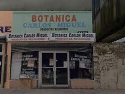 Botanica carlos 1