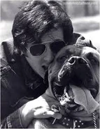 Download.jpg (9 KB) Stallone owned the dog in real life his real life name is also "Butkus".
