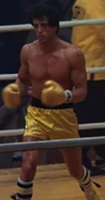 Rocky's regular costume in Rocky III, the second Italian Stallion costume (gold and black) against Clubber Lang in the first fight.