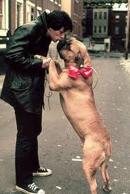 Butkus Rocky Wiki Fandom
