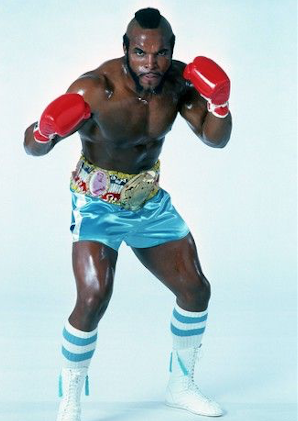 boxer fighter rocky