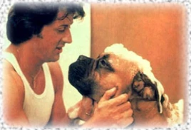 Rocky and Butkus