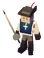 Musketeer's Hat