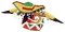 Baby Flapping Fiesta