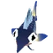 Baby Sailfish