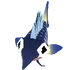 Baby Sailfish