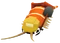 Baby Cementipede