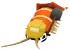 Baby Cementipede