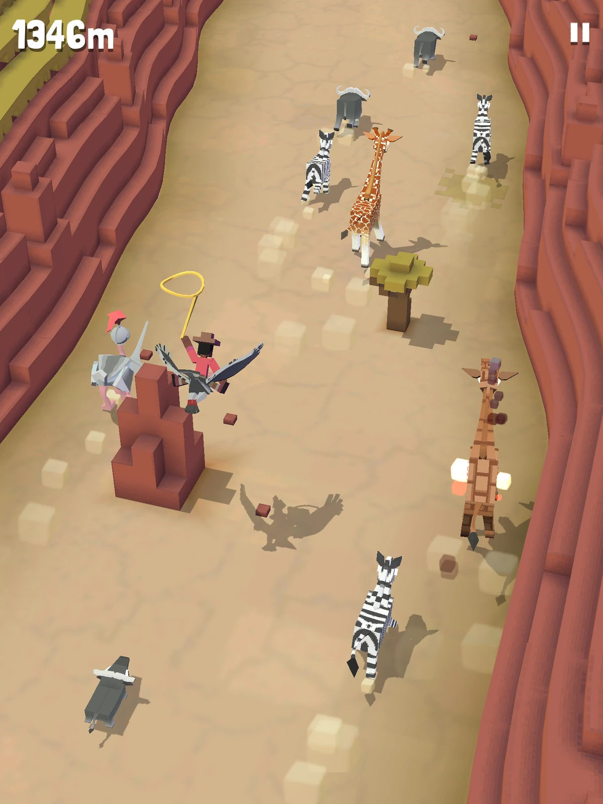 Savannah Rodeo Stampedia Fandom