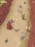 Savannah between 1000 and 2000m