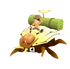 Champion Cicada Icon