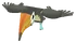 Baby Toucan