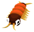 Baby Centipede