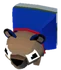 Baby Polo Bear