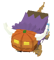 Baby Pumpkinfalo