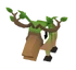 Baby Mossy Moose