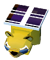Baby Solar Bear