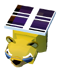 Baby Solar Bear