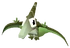 Baby Pterodactyl