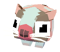 Baby Womcat