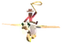 Pegazeus Icon