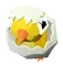 Baby Little Yellow Chicken