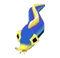 Baby Ribbon Eel