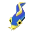 Baby Ribbon Eel