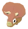 Baby Triceratops