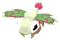 Baby Dragonfruit Fly