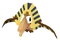 Baby Pharaohdactyl