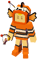 Clown Fish Suit