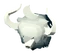Baby Zodiyak