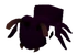 Baby Ant
