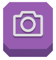 The snapshot button