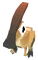 Baby Parasaurolophus