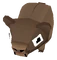 Baby Brown Bear