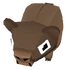 Baby Brown Bear