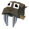 Baby Walrus