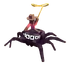Spider Icon