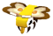Baby Butterfry