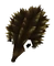 Baby Echidna