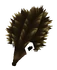 Baby Echidna