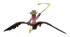 Bald Eagle Icon