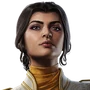 Kestrel Portrait